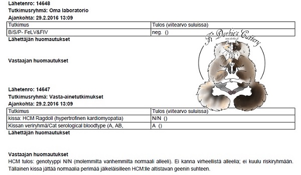 Yhdellä verikokeella tarvittavat näytteet